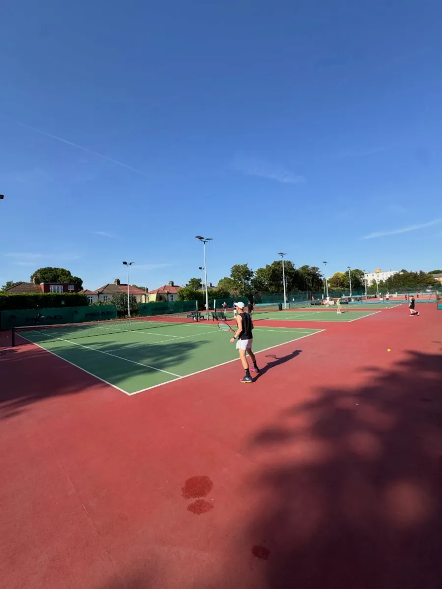 A member playing singles across the sunlit hard courts at Blackheath Lawn Tennis Club